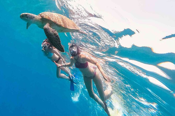 Oahu Coastline Cruise: Turtle Snorkeling and Jumping Platform - Amenities Included in the Tour