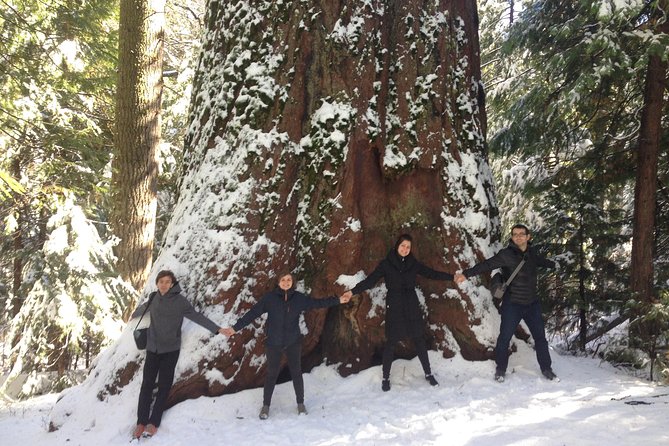 Off-Road Giant Sequoia 4x4 Tour - Inclusions and Accessibility