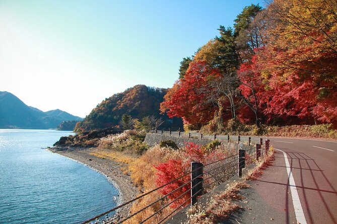 One-Day Tour Around Mount Fuji Departure From Tokyo - Inclusions and Additional Costs