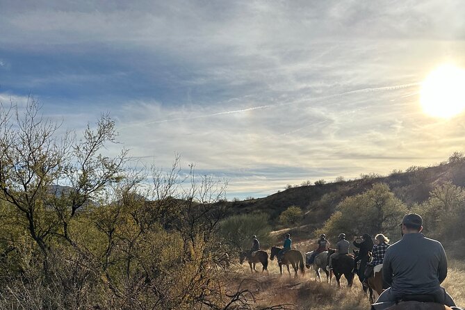 One Hour Guided Horseback Ride - Meeting and Pickup