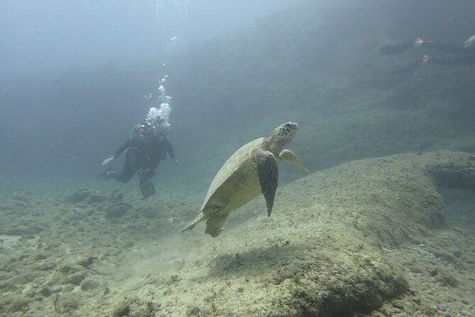 Open Water Scuba Certification - Course Components