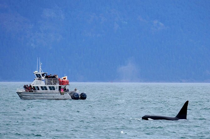 Orca Whale Tour Near Seattle - Meeting and Pickup Details