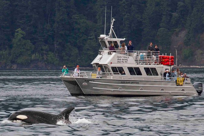 Orcas Island Whale Watching - Whats Included