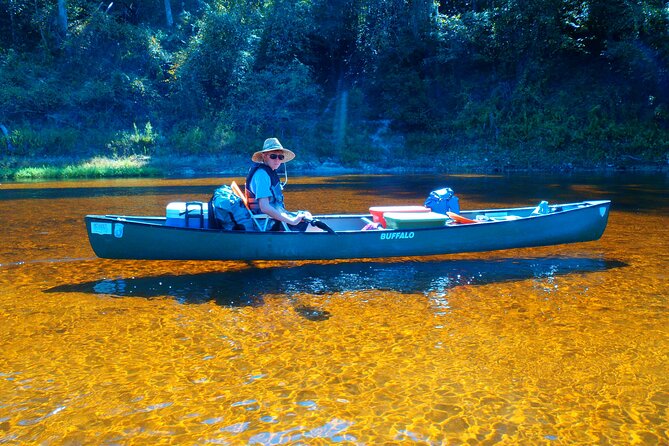 Orlando Alligator Experience - Kayaking Tour on the Econlockhatchee River