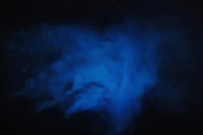 Orlando Bioluminescence Kayak and Swim Adventure - Inclusions in the Tour Package
