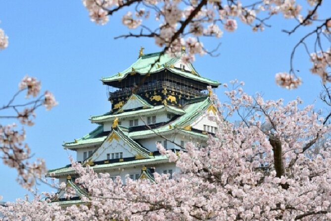Osaka and Kyoto Stunning Cherry Blossoms and Sakura Cruise Tour - Participation and Accessibility