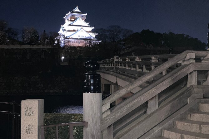 Osaka Castle & Back Alley Gourmet Private Tour - Itinerary and Schedule