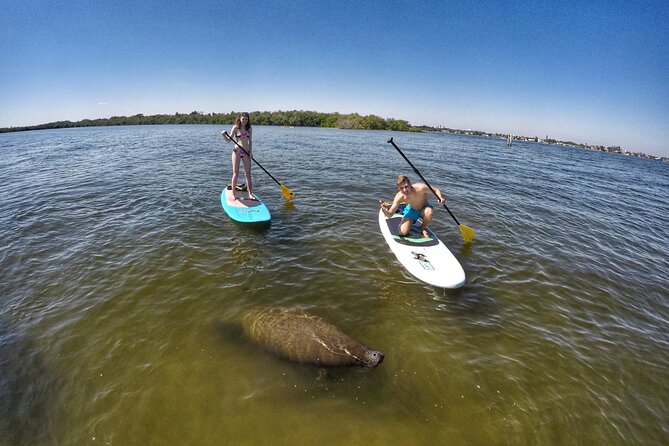 Paddle Boarding Eco Adventure Tour Jupiter Florida - Singer Island - Meeting and Logistics