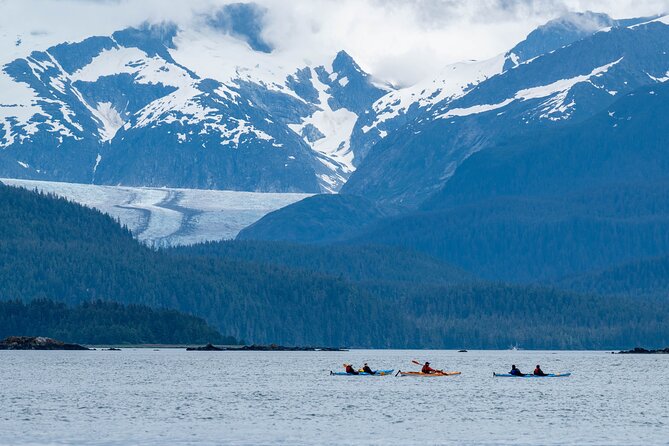 Paddle With Whales Kayak Adventure Juneau - Kayaking Experience