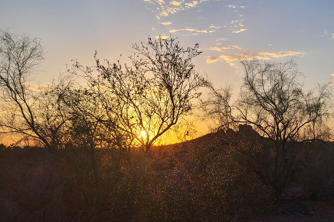 Peaceful Morning Walk: Guided Journey Through the Sonoran Desert - What to Expect on the Walk