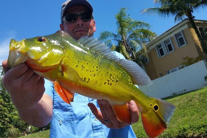 Peacock Bass Fishing Trip Near Palm Beach - Top-Notch Equipment and Amenities Provided