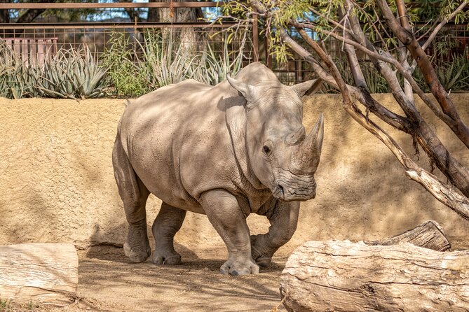 Phoenix Zoo Admission Ticket - Diverse Animal Exhibits
