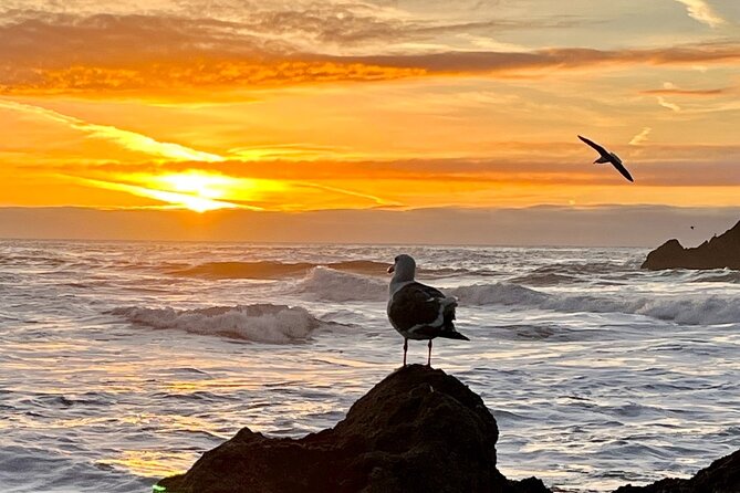 Picture Your Best SF Tour Ever! (Epic Bay Area Photo Adventures) - Tailored Experiences for Every Adventurer