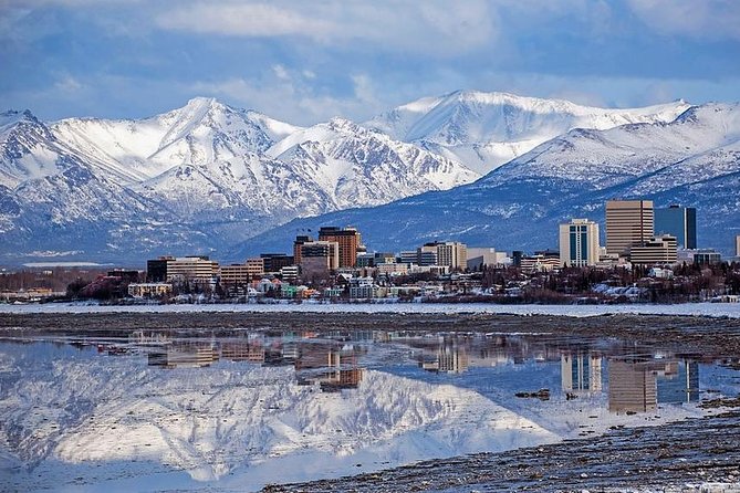 Port Homer Day Tour - Wilderness, Wildlife and Beach Experience - Capturing the Beauty of Scenic Alaska