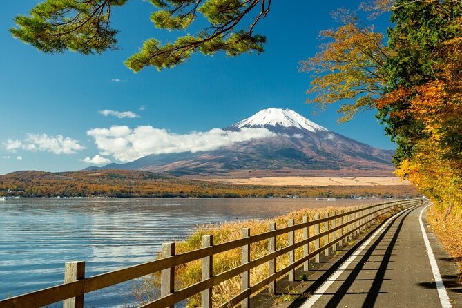 Private 1 Day Round Trip Tour From Tokyo to Mount Fuji - Tour Duration and Itinerary