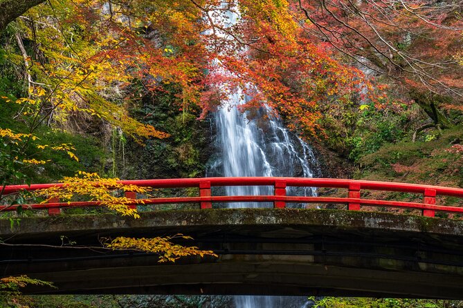 Private 1 Day Tour to Nikko: Onsen, UNESCO Shrines and Nature - Inclusions