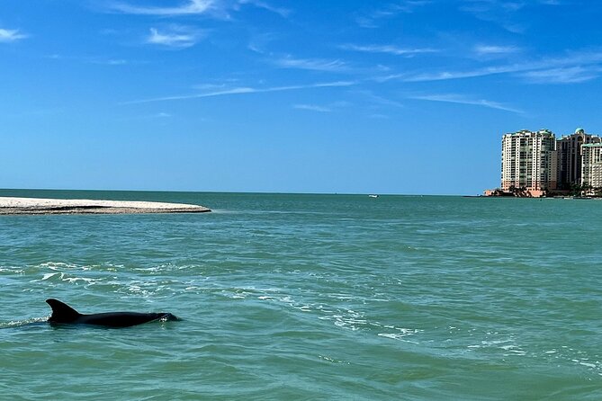 Private Best of Marco Island Dolphin Tour - Amenities and Comfort on Board