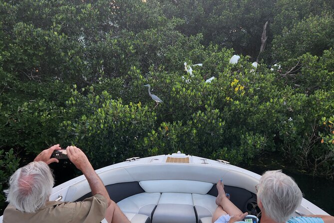 Private Boat: Island Cruise and Dolphins - Explore Egmont Key