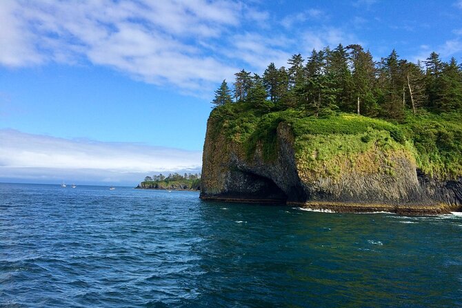 Private Charter Scenic Wildlife Excursion for Cruise Passengers - Tour Details and Inclusions