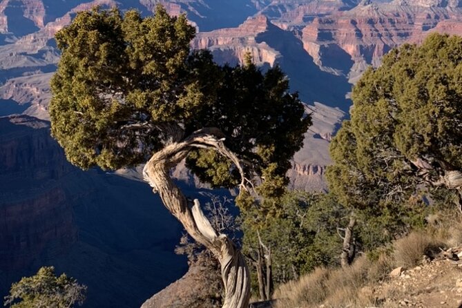 Private Custom Grand Canyon Tours - Inclusions and Exclusions