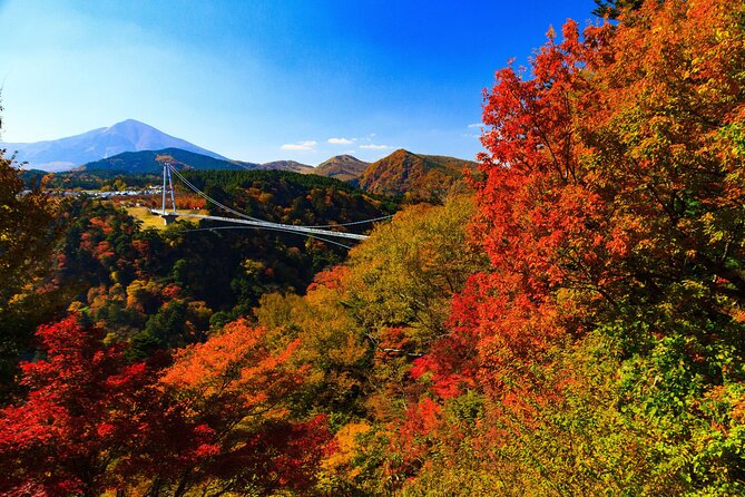 PRIVATE Day Minibus Tour to KOKONOE & YUFUIN, BEPPU From Fukuoka - Inclusions