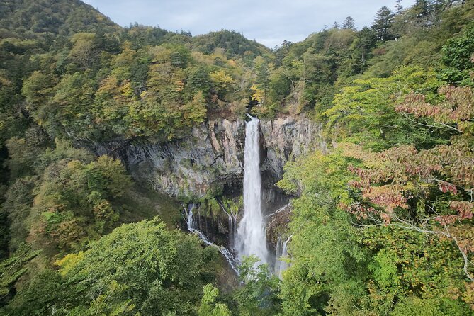 Private Day Tour to Nikko City With English Speaking Driver - Meeting and Pickup