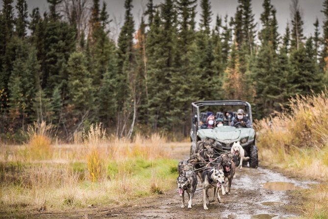 Private Fall Foliage Mushing Cart Ride in Fairbanks - Included Amenities