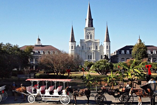 Private French Quarter Walking and City Surrounding Neighborhoods Driving Tour - Discovering the French Quarter