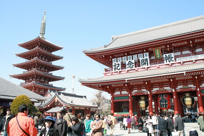 Private Full-Day Guided Tour in Tokyo: Customized Just for You - Transportation and Accessibility