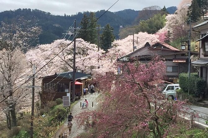 Private Full-Day Guided Tour in Yoshino, Japanese Mountain - Meeting and Pickup