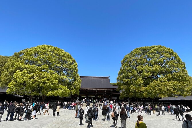 Private Guided Trivia Quest Tour at Harajuku Meiji-jingu - Meeting and End Points