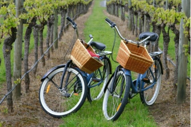 Private Guided Wine Country Bike Tour in Mattituck - Cycling Experience