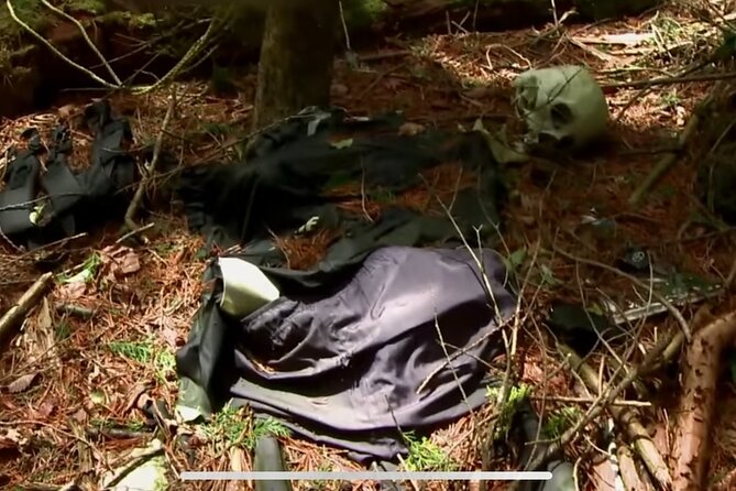 Private Haunted Spots Tour in Japan for the Bravest Ghost Hunters - Included Amenities