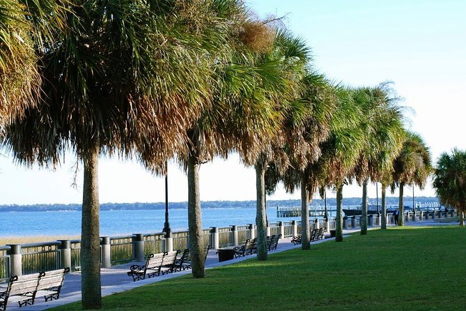 Private Historic Horse & Carriage Tour of Charleston - Meeting and Logistics
