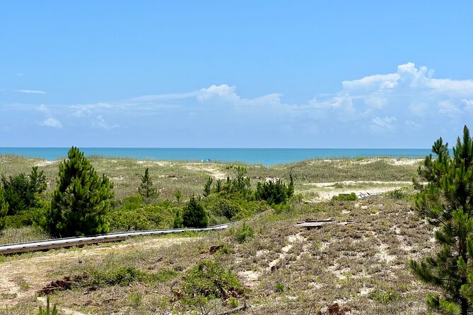 Private Island Eco Tours on a Private Boat From Shackleford Banks - Activities Offered on the Tour