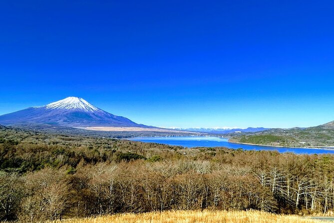 Private Mount Fuji Day Trip From Tokyo by Car - Pickup and Drop-off