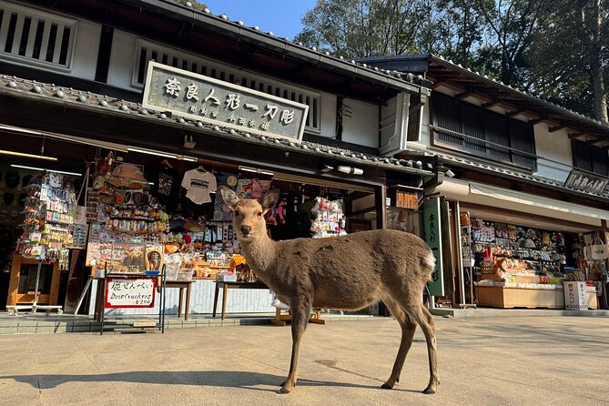 Private Nara Tour and Sake Tasting (Departing From Kyoto/Nara) - Inclusions