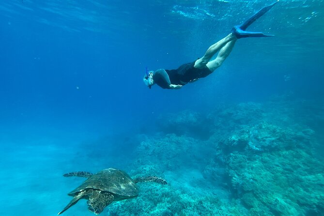 Private Snorkel With Beach Set-Up - Whats Included in Your Tour