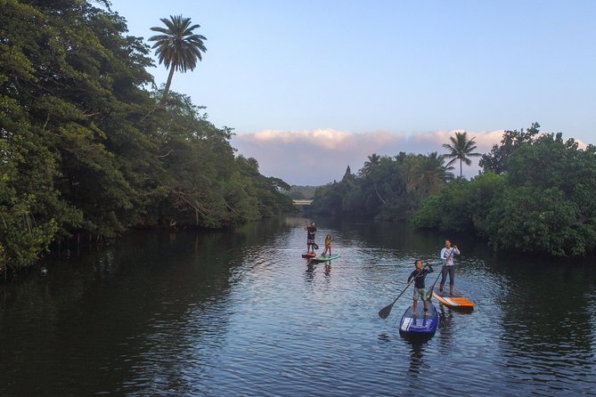 Private Stand up Paddle Lesson and Tour (For 1 or More Paddlers) - Experience Highlights