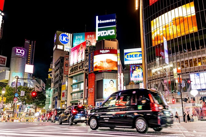Private Tokyo Culture Tour by Car - Pickup and Departure