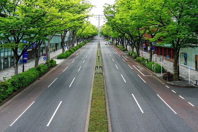 Private Tour in Tokyo With Shopping - Transportation and Logistics