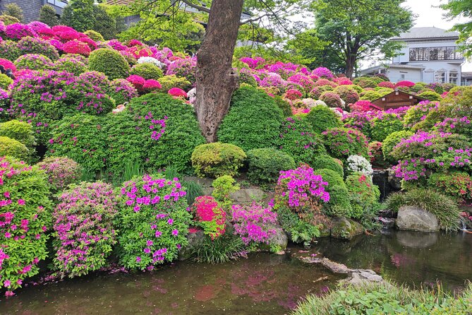 Private Tour of the Secret Corners of Tokyo - Visiting Hidden Temples