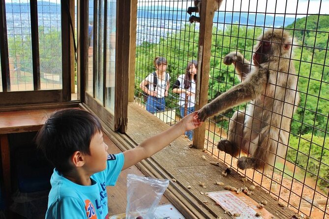 Private Tour to Arashiyama Monkey Park and Arashiyama Highlights - Visiting the Monkey Park