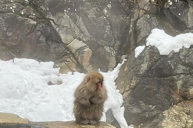 Private Tour to Snow Monkey, Zenkoji Temple & Hot Springs Nagano - Relaxing in Naganos Natural Hot Springs
