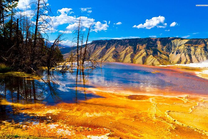Private Upper Loop Tour of Yellowstone National Park - Accessibility and Safety