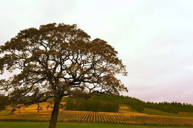 Private Willamette Valley Wine Tour From Portland (All Tasting Fees Included) - Whats Included in Your Experience