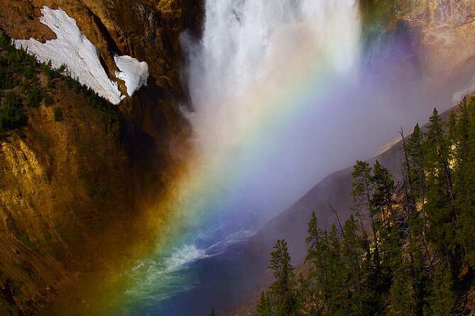 Private Yellowstone Journey From Gardiner, MT - Wildlife Sightings and Biodiversity