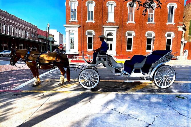 Public Group Historical Carriage Tour of Galveston - Meeting Information