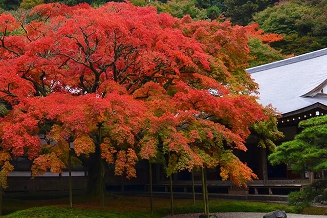 Raizansennyoji Futamigauras Couple Stones Day Tour From Fukuoka - Meeting and Departure Details