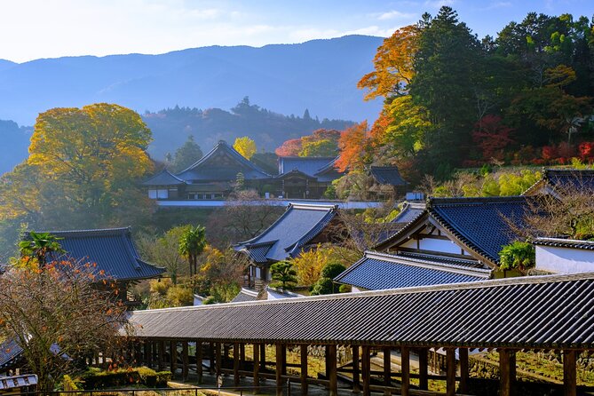 Relaxed Nara Tour From Kyoto Hasedera and Muroji Temples - Lunch and Dining Options